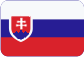 Programy na mieru pre Českú republiku Slovensky